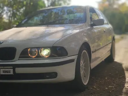 BMW 520 1996 года за 3 000 000 тг. в Экибастуз – фото 43