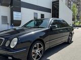 Mercedes-Benz E 430 2000 года за 3 650 000 тг. в Алматы – фото 2