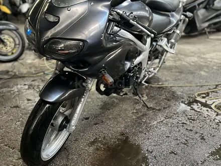 Suzuki  SV 400 2011 года за 1 600 000 тг. в Алматы – фото 3