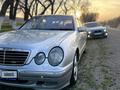 Mercedes-Benz E 280 2000 года за 6 000 000 тг. в Алматы – фото 4