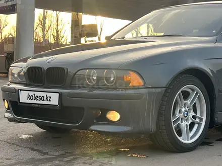 BMW 525 2001 годаүшін4 500 000 тг. в Алматы – фото 2