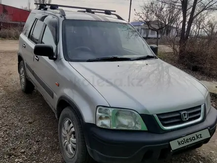 Honda CR-V 1996 года за 3 350 000 тг. в Шу