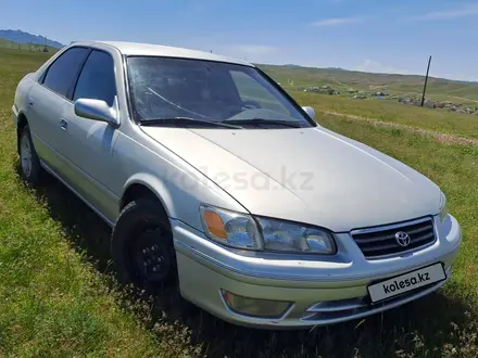 Toyota Camry 2001 года за 3 400 000 тг. в Талдыкорган – фото 7