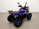 Avantis  Hunter 8 New Lux 2026 года за 546 000 тг. в Астана – фото 4