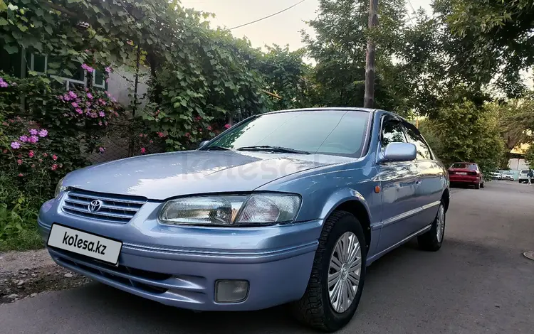 Toyota Camry 1998 года за 2 300 000 тг. в Алматы