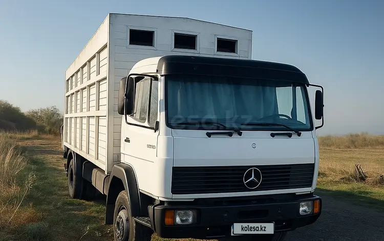 Mercedes-Benz 1991 года за 9 800 000 тг. в Алматы