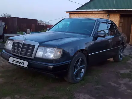 Mercedes-Benz E 260 1991 годаүшін2 500 000 тг. в Аксу – фото 6