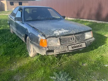 Audi 100 1989 года за 350 000 тг. в Алматы