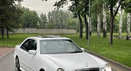 Mercedes-Benz E 55 AMG 2001 годаүшін6 700 000 тг. в Алматы