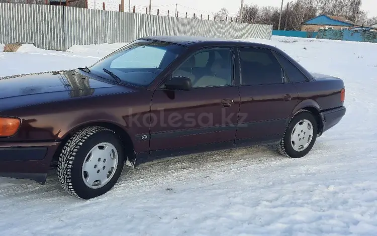 Audi 100 1991 годаүшін2 150 000 тг. в Петропавловск