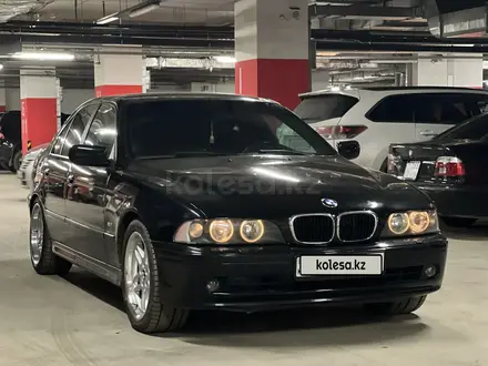 BMW 525 2003 года за 4 600 000 тг. в Тараз – фото 8