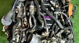Двигатель контрактный Toyota 1UR-FE объём 4.6 из Японии за 50 000 тг. в Астана – фото 2