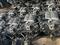 1MZ-FE 3MZ-FE 3.0 3.3 VVTI TOYOTA ДВИГАТЕЛЬ ИЗ ЯПОНИИ 2WD 4WD за 55 000 тг. в Астана