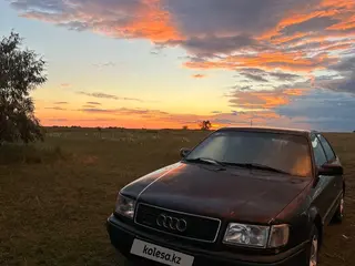 Audi 100
