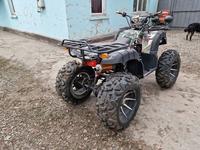 Stels  ATV-250 2022 года за 1 000 000 тг. в Алматы