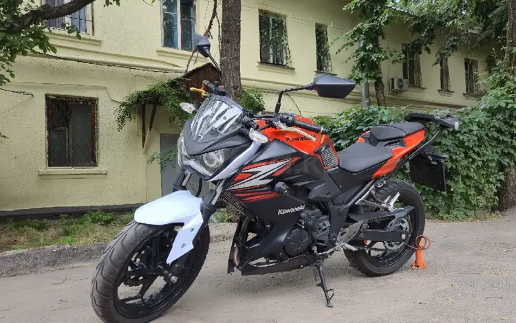 Kawasaki  Z 250 2015 годаүшін1 700 000 тг. в Алматы