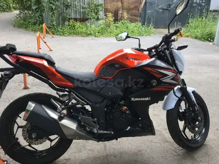 Kawasaki  Z 250 2015 года за 1 700 000 тг. в Алматы – фото 3