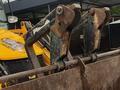 JCB 2013 года за 25 500 000 тг. в Алматы – фото 4