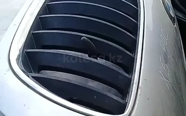 Решетка радиатора облицовка на BMW E53 X5үшін40 000 тг. в Шымкент