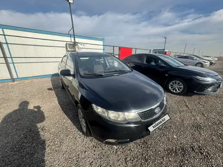 Kia Cerato 2012 года за 3 071 733 тг. в Алматы – фото 6