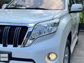 Toyota Land Cruiser Prado 2014 годаүшін15 900 000 тг. в Алматы – фото 3