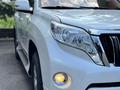 Toyota Land Cruiser Prado 2014 годаүшін15 900 000 тг. в Алматы – фото 4