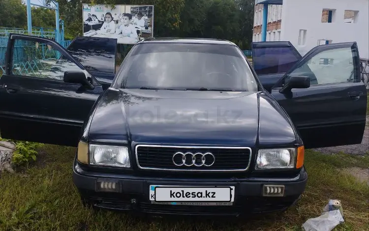 Audi 80 1992 годаүшін1 000 000 тг. в Пресновка