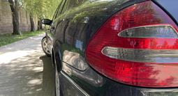 Mercedes-Benz E 240 2003 годаfor4 950 000 тг. в Шымкент – фото 3