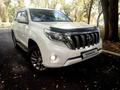 Toyota Land Cruiser Prado 2009 годаfor18 000 000 тг. в Алматы