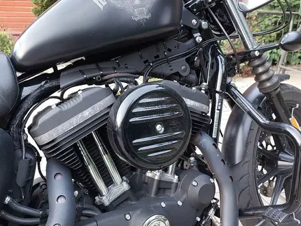 Harley-Davidson  Iron 883 2016 года за 5 000 000 тг. в Алматы – фото 8