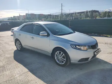 Kia Cerato 2011 года за 5 400 000 тг. в Алматы – фото 6