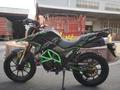  мотоцикл TEKKEN 300 R LINE PRO 2024 года за 1 030 000 тг. в Костанай – фото 24