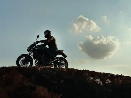 Kawasaki  Z 650 2019 года за 3 500 000 тг. в Астана – фото 12