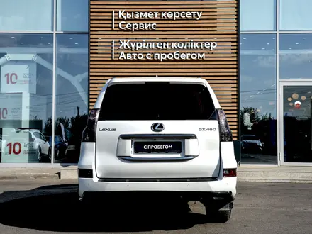 Lexus GX 460 2021 года за 36 800 000 тг. в Шымкент – фото 4