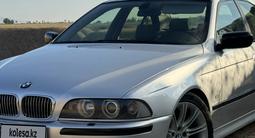 BMW 530 2001 года за 4 500 000 тг. в Шымкент – фото 2