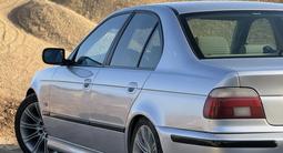 BMW 530 2001 года за 4 500 000 тг. в Шымкент