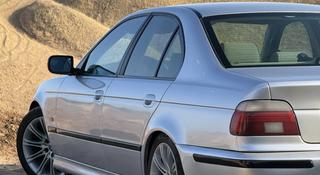BMW 530 2001 годаүшін4 500 000 тг. в Шымкент