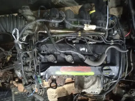 Двигатель FORD FOCUS 2.0 L DURATEC 2003-2011 AODA за 400 000 тг. в Астана