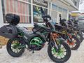  мотоцикл TEKKEN 300 R LINE PRO 2024 года за 1 030 000 тг. в Шымкент – фото 27