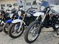  мотоцикл TEKKEN 300 R LINE PRO 2024 года за 1 030 000 тг. в Шымкент – фото 87