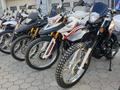  мотоцикл TEKKEN 300 R LINE PRO 2024 года за 1 030 000 тг. в Шымкент – фото 88