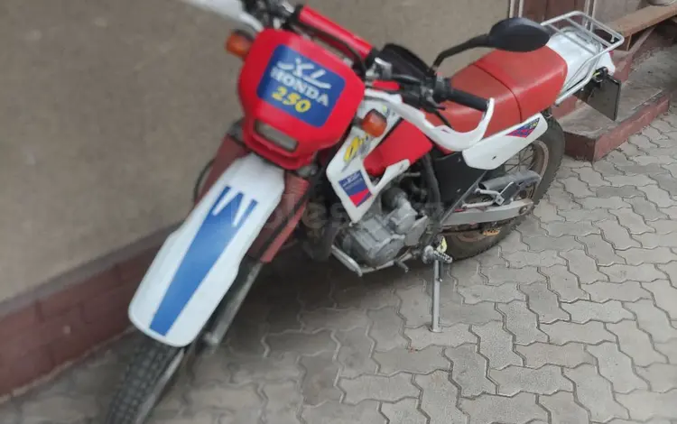 Honda  XL 250 1998 годаүшін1 300 000 тг. в Алматы