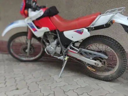 Honda  XL 250 1998 года за 1 300 000 тг. в Алматы – фото 2