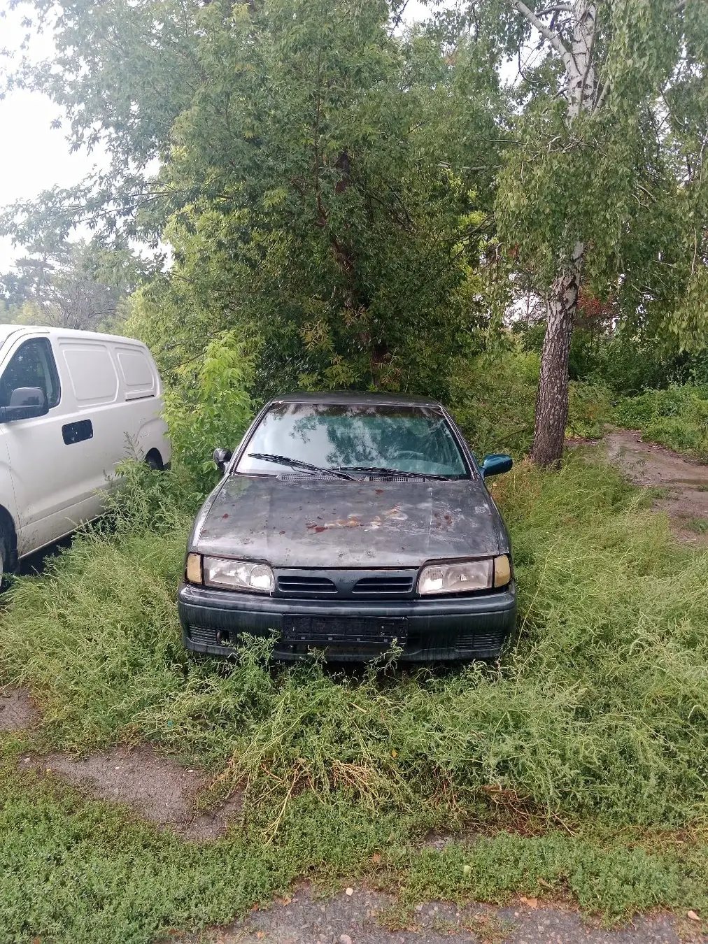 Nissan Primera, 1994
