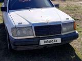 Mercedes-Benz E 260 1987 года за 690 000 тг. в Павлодар – фото 2