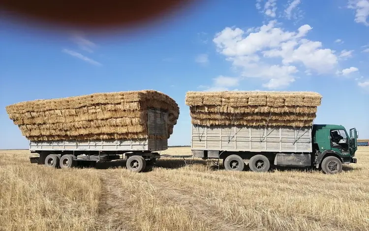 КамАЗ 1986 годаfor5 000 000 тг. в Шымкент