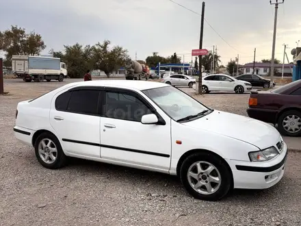 Nissan Primera 1997 года за 2 300 000 тг. в Тараз – фото 6