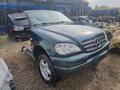 Mercedes-Benz ML 320 1998 годаүшін123 000 тг. в Кокшетау