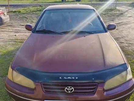 Toyota Camry 1999 года за 2 600 000 тг. в Усть-Каменогорск – фото 6