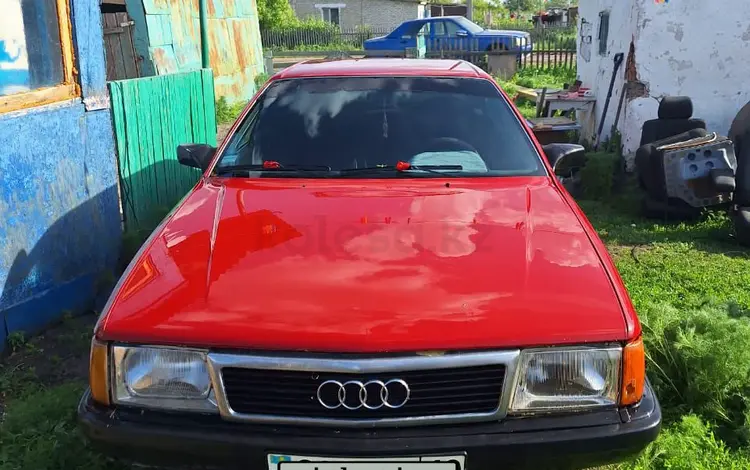 Audi 100 1986 годаfor875 000 тг. в Аулиеколь